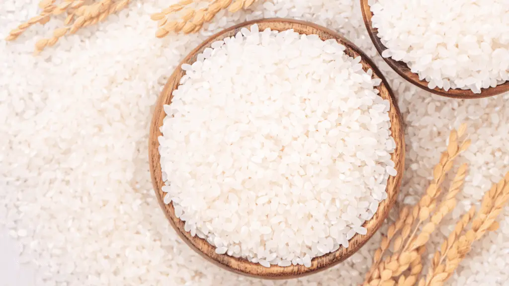 1 Cup of Rice in a Rice Cooker: How Long Does it Take?