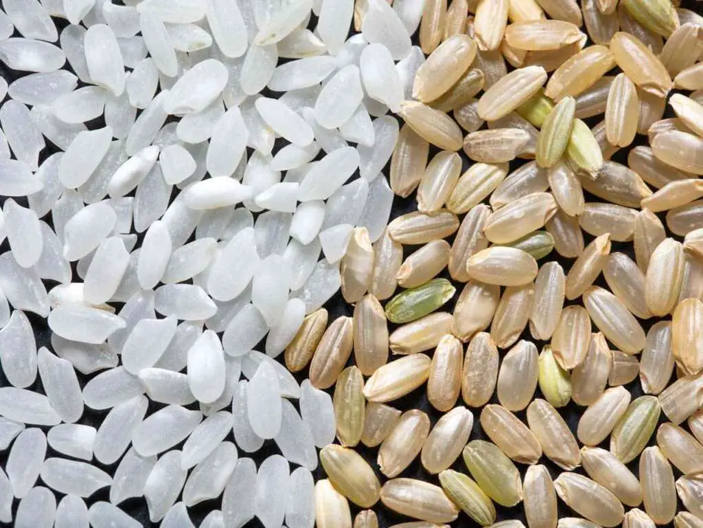 Bomba Rice vs. Arborio Rice What's The Difference? Rice Array